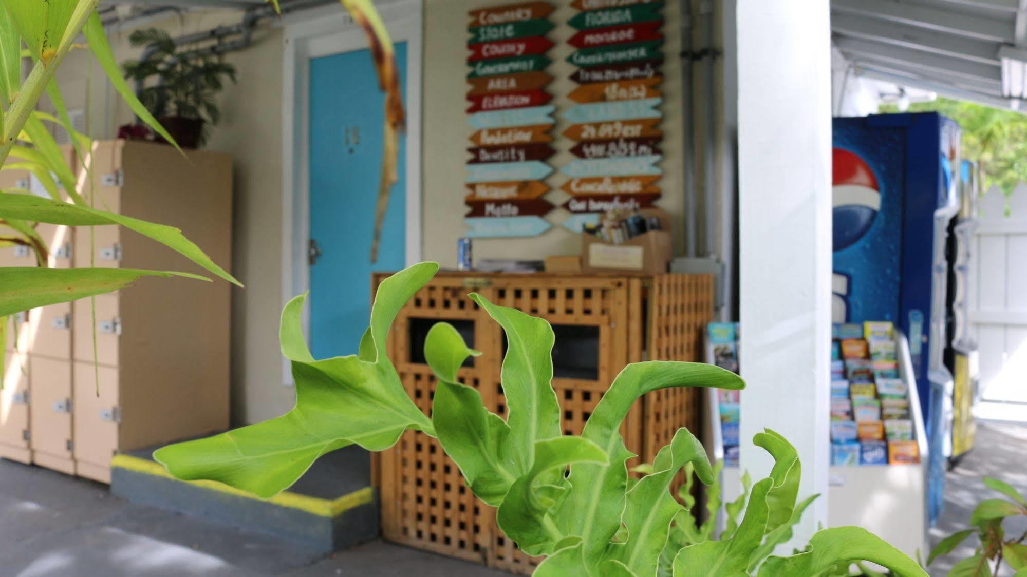 Seashell Motel And International Hostel Кей Уест Екстериор снимка